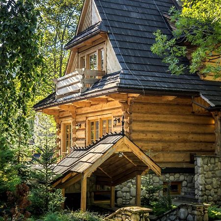Villa Dom Crocus Zakopane Exterior foto